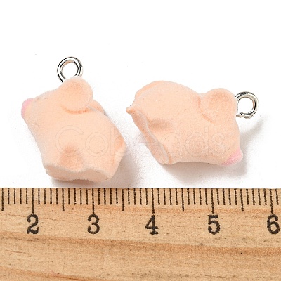 Flocky Acrylic Pendants FIND-A044-01I-1