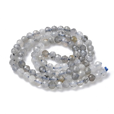 Natural Labradorite Beads Strands G-L651-C11-4mm-1
