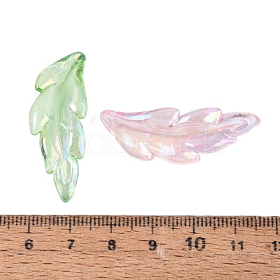 Transparent Plastic Pendants KY-Q005-01-1