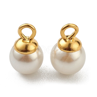 304 Stainless Steel Charms STAS-Z009-02D-G-1