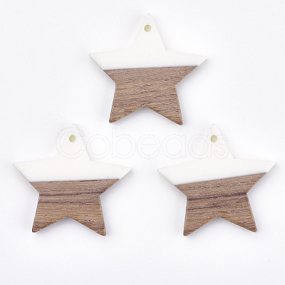 Resin & Wood Pendants X-RESI-T023-23B-1