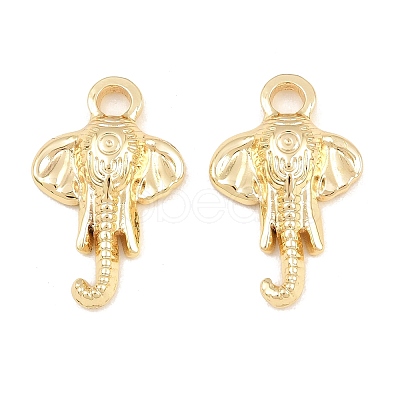 304 Stainless Steel Pendants SA-CBA76DA-19G-B-1