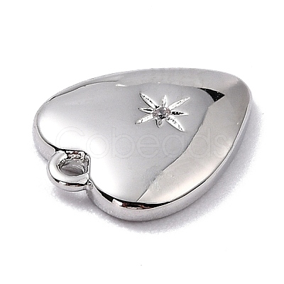 Brass Micro Pave Cubic Zirconia Charms ZIRC-I054-14P-03-1