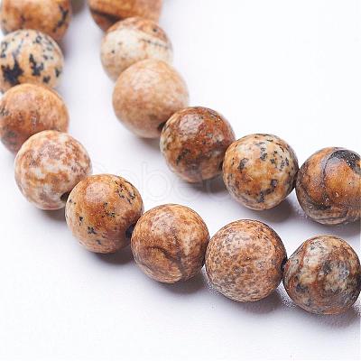 Gemstone Beads Strands GSR6mmC016-1