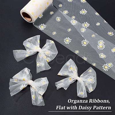 Organza Ribbons ORIB-WH0001-001-1