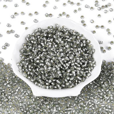 Silver Lined Glass Seed Beads SEED-T007-18A-03-1