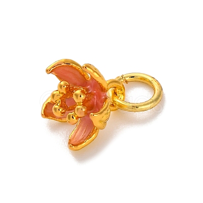 Brass Enamel Charms KK-U042-14G-01-1