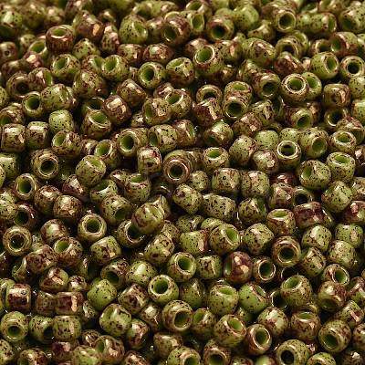 TOHO 6/0 Round Beads SEED-TR06-1209-1