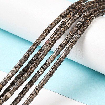 Natural Snowflake Obsidian Beads Strands G-E612-A07-1