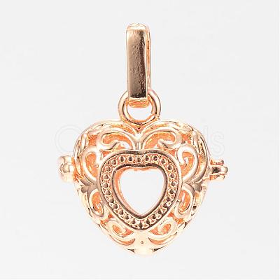 Rack Plating Brass Cage Pendants KK-S309-04G-1