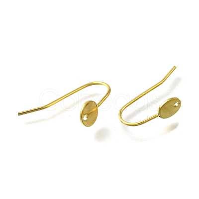 304 Stainless Steel Earring Hooks X-STAS-B087-09A-G-1