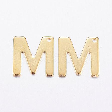 304 Stainless Steel Charms STAS-P141-M-1