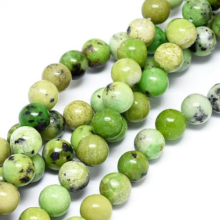 Natural Serpentine Beads Strands G-F576-01-10mm-1
