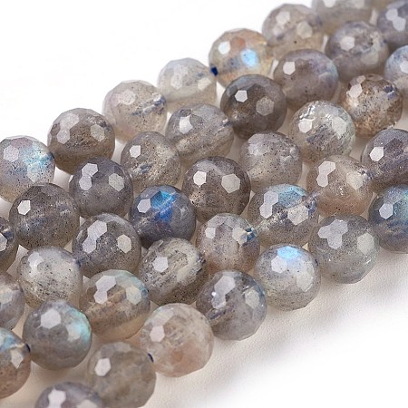 Natural Labradorite Beads Strands G-O176-04B-1