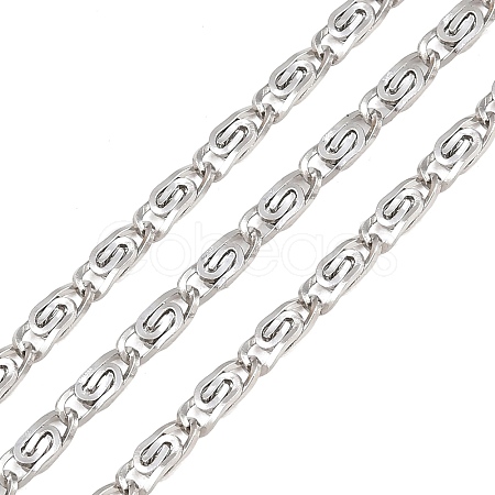 304 Stainless Steel Lumachina Chains CHS-P028-01P-1