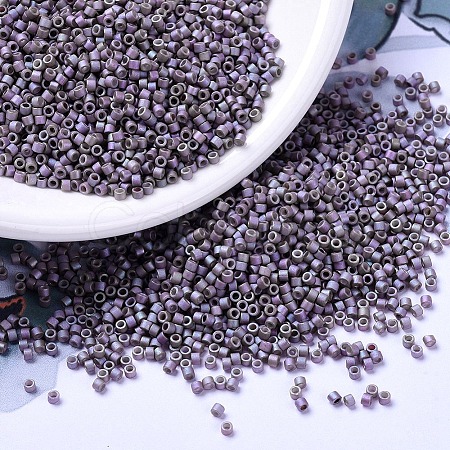 MIYUKI Delica Beads SEED-MY11-DB1065-1