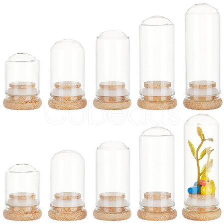 PandaHall Elite 10Pcs 5 Style Transparent Glass Bottle AJEW-PH0011-40-1