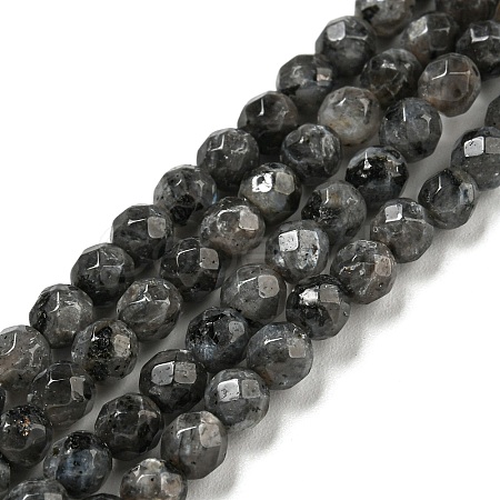 Natural Larvikite Beads Strands G-E571-A09-04-1
