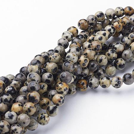 Natural Dalmatian Jasper Beads Strands X-GSR6mmC004-1