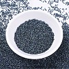 MIYUKI Delica Beads Small SEED-X0054-DBS0325-2