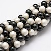 Shell Pearl Bead Strands BSHE-L017-13-1