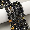 Faceted Natural Fire Crackle Agate Beads Strands G-F447-10mm-A09-5