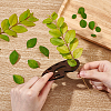 Wood Grass Scraper AJEW-WH0518-68A-3