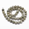 Natural Labradorite Beads Strands X-G-D840-10-8mm-2