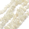 Natural White Moonstone Beads Strands G-P332-01-2
