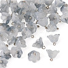 38Pcs Glass Charms GLAA-TADJ0001-19D-2