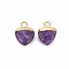 Natural Amethyst Charms G-N326-121-03-2