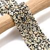 Natural Dalmatian Jasper Beads Strands G-A272-A01-32-2