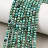 Natural HuBei Turquoise Beads Strands GG-CBA767B-A02-3MM-1