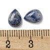 Natural Blue Spot Jasper Cabochons G-Q173-02B-14-3