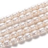 Natural Cultured Freshwater Pearl Beads Strands PEAR-L033-77-01-1
