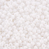 8/0 Opaque Glass Seed Beads SEED-S048-N-019-3