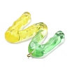 Resin Pendant FIND-Q107-01M-04-2