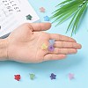 Transparent Acrylic Beads PLF018-6