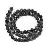 Natural Larvikite Beads Strands G-Z119-A32-01-4