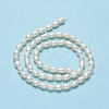Natural Cultured Freshwater Pearl Beads Strands PEAR-J006-14C-01-3