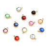 304 Stainless Steel Charms STAS-I165-04B-G-1