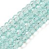 Transparent Baking Paint Glass Beads Strands LS-DGLA-A034-T6mm-D01-1