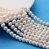 Natural Cultured Freshwater Pearl Beads Strands X-A23WT011-1