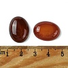 Natural Red Agate Cabochons G-L601-03F-01-3