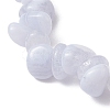Natural Blue Lace Agate Chip Beaded Stretch Bracelets BJEW-JB11133-08-4