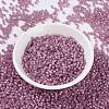 MIYUKI Round Rocailles Beads SEED-JP0009-RR0645-2