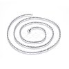 Non-Tarnish 304 Stainless Steel Rolo Chain Necklaces NJEW-L047-02A-P-2
