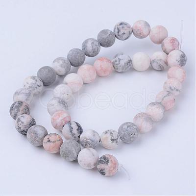 Natural Zebra Jasper Beads Strands G-Q462-10mm-03-1