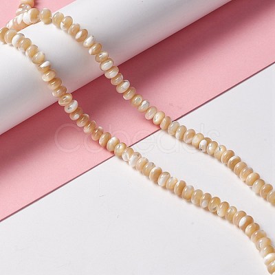 Natural Trochid Shell/Trochus Shell Beads Strands SSHEL-O001-24A-01-1