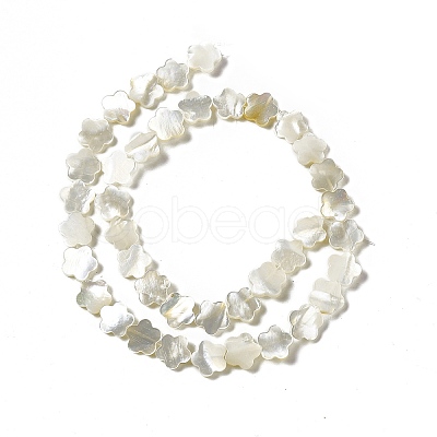 Natural White Shell Beads Strands SHEL-F003-07-1